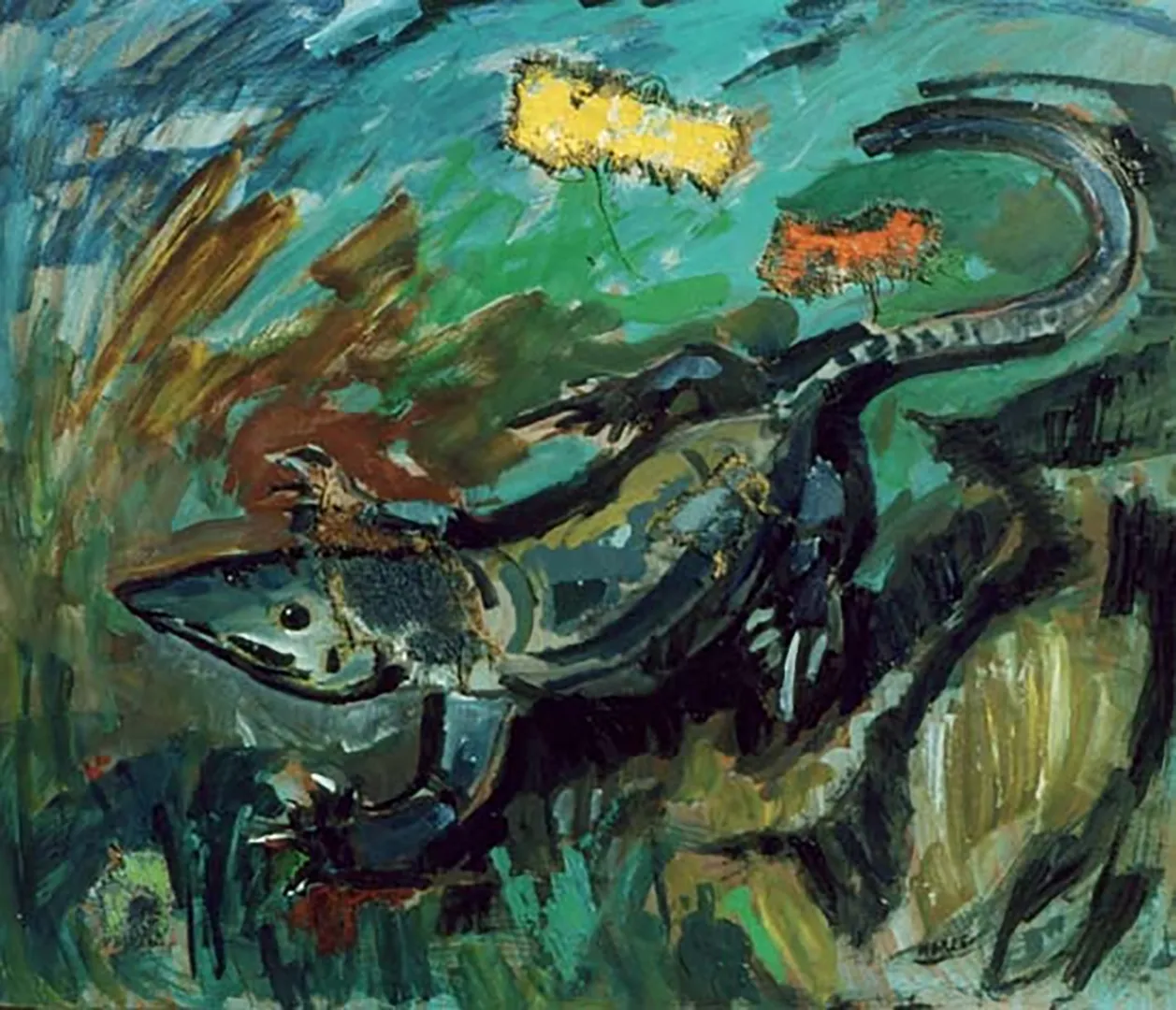 Iguana